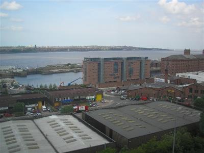 Picture 8